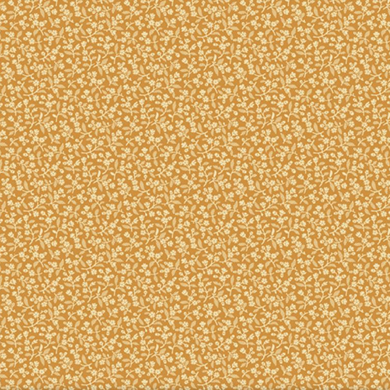 Sweet Alyssum - Amber