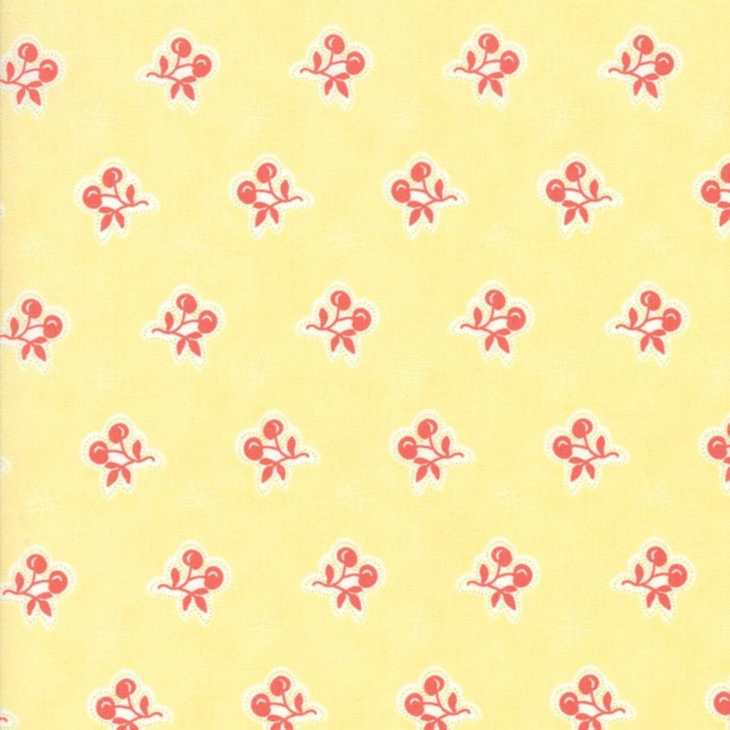 Moda - Fig Tree & Co Catalina - 20373-18