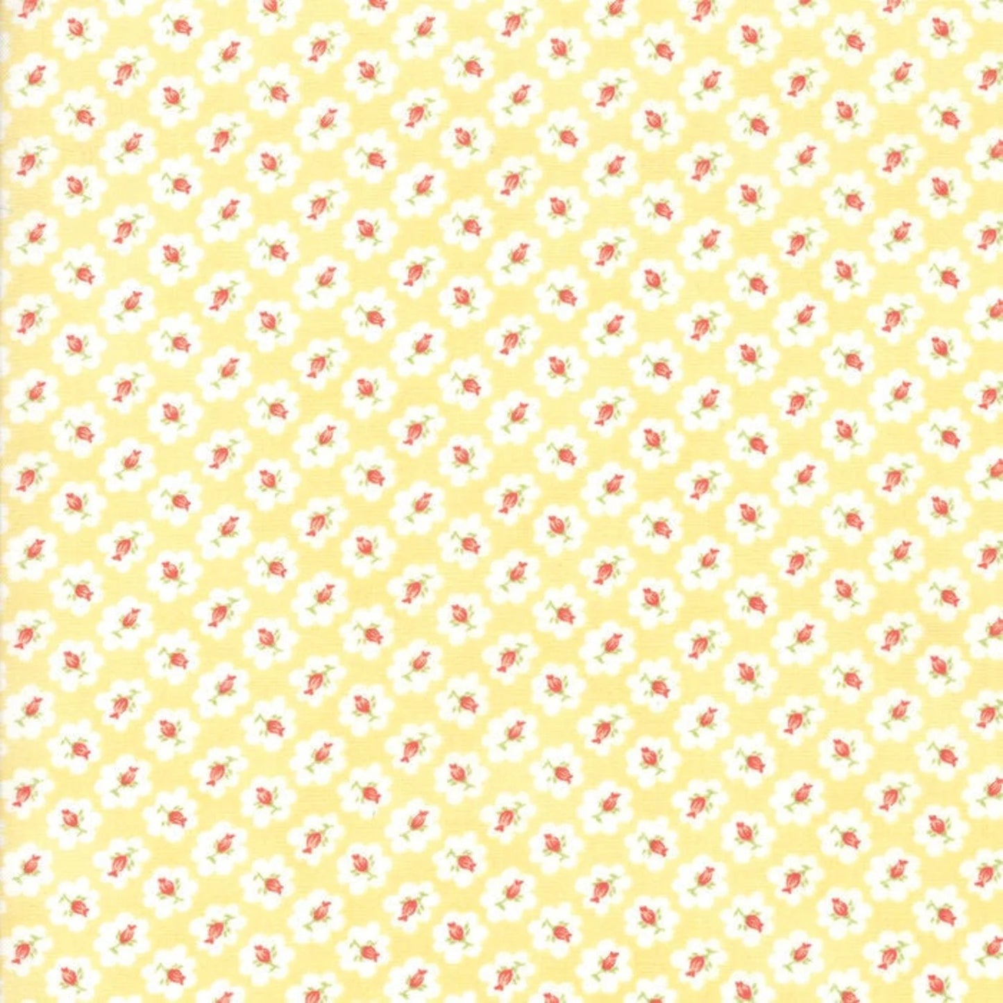 Moda - Fig Tree Quilts Catalina - 20372-18