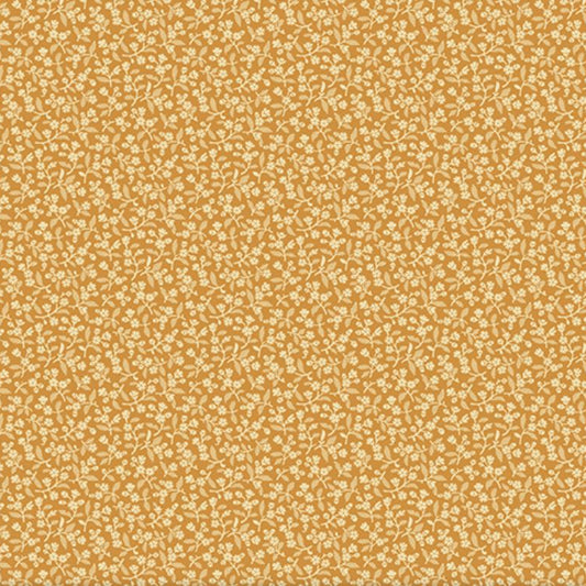 Sweet Alyssum - Amber