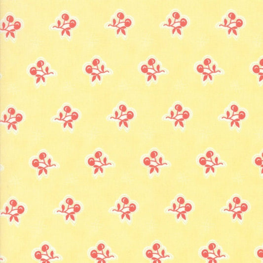 Moda - Fig Tree & Co Catalina - 20373-18