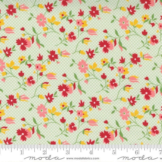 Moda - American Jane Story Time - 21793 11