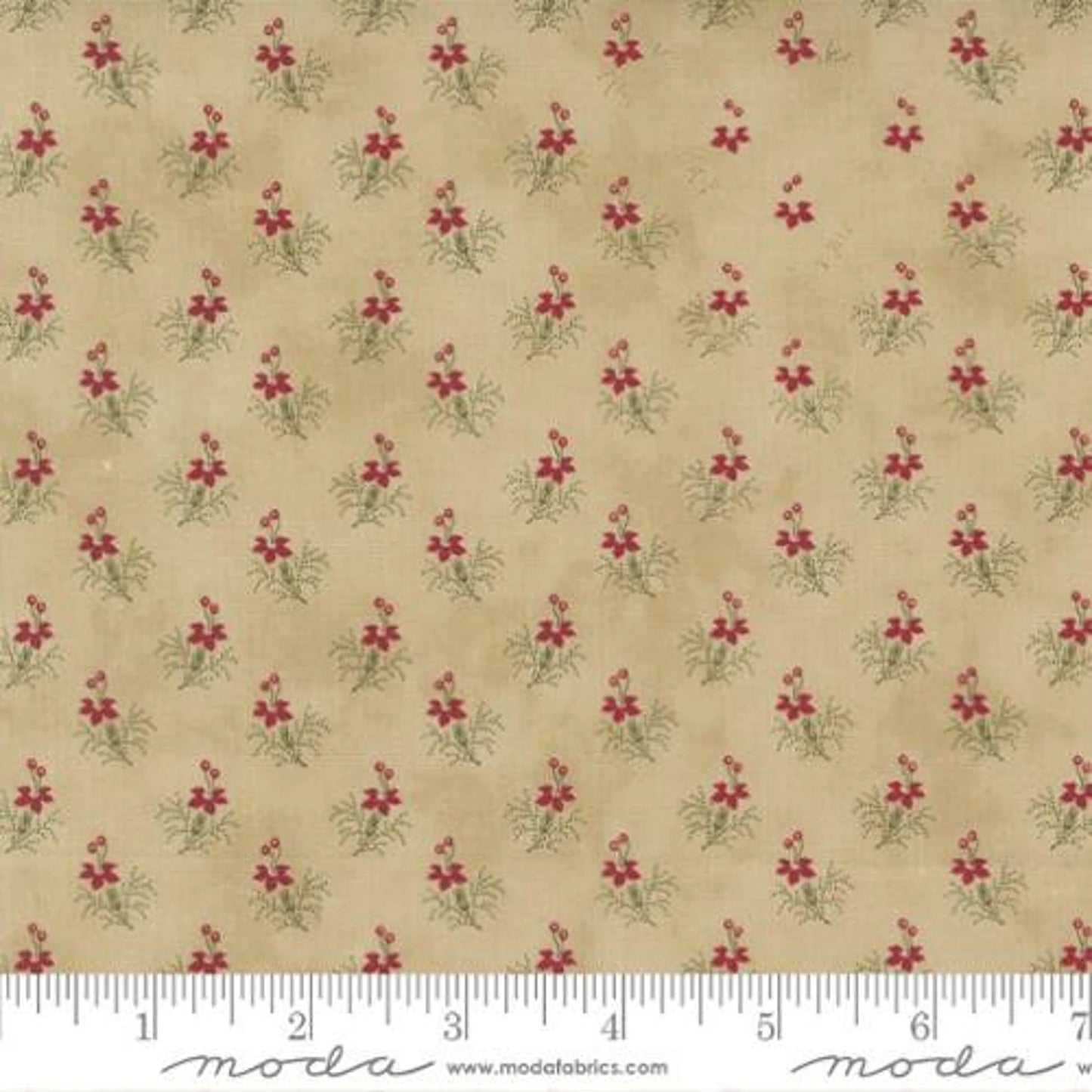 Moda - Poinsettia Plaza  - 44297 21