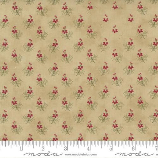 Moda - Poinsettia Plaza  - 44297 21